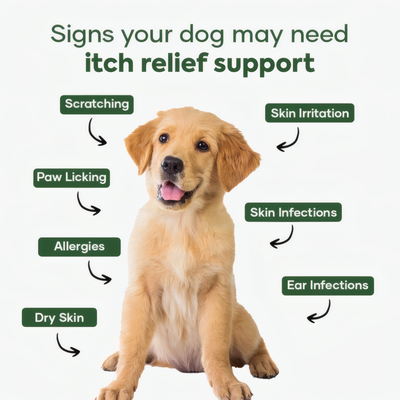 Aniwell DermaPrex for Dogs