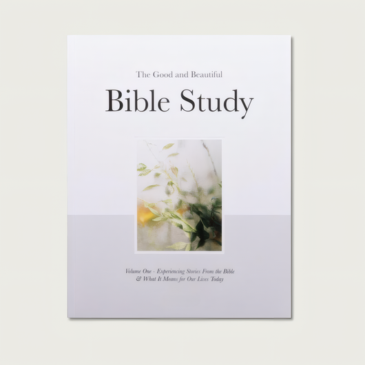 Bible Study: The Holy Experience